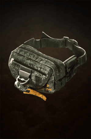 Fanny Pack's image