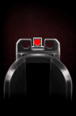 "Front Sight Focus" card image