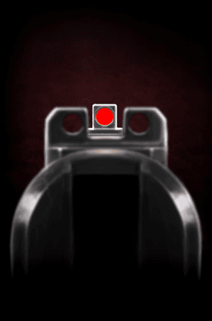 Front Sight Focus's image