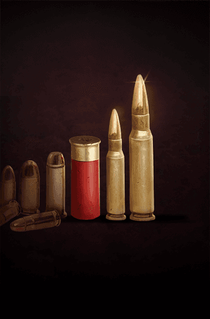 Large caliber rounds's image