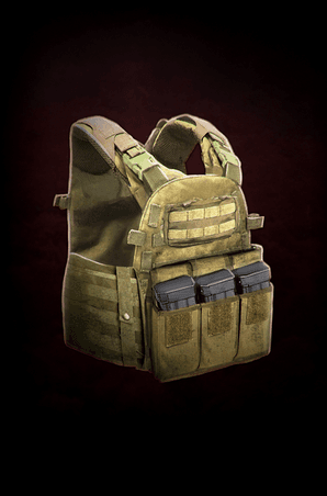 Tactical vest's image